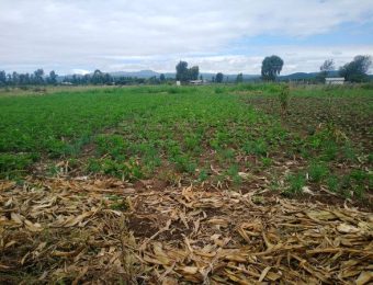 land for sale in Thika Landless